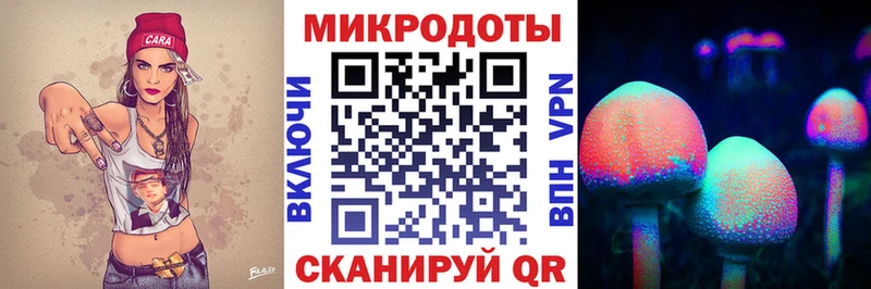 Купить где  Пикалёво  Галлюциногенные грибы Psilocybe 